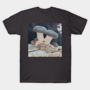 New Pearl Oyster Mushrooms T-Shirt